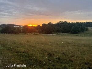 2026-04-19_23-38-59-kreutfoto