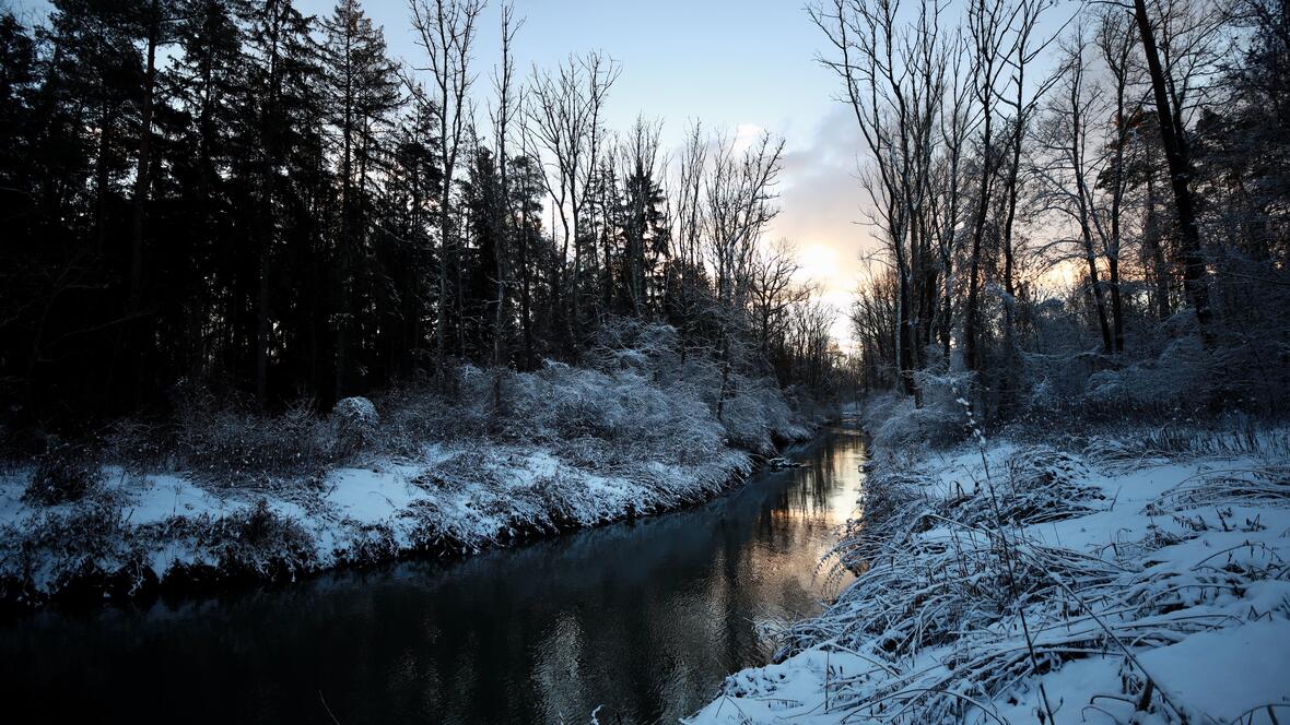 Bild: Axel Mölkner-Kappl