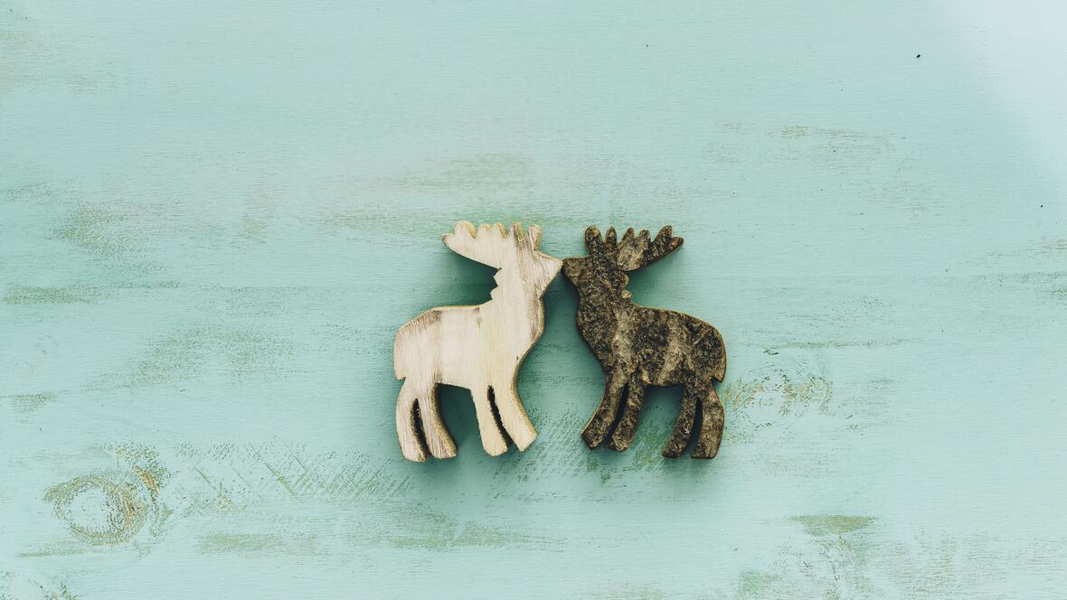decoration-christmas-with-reindeers-kissing-each-other