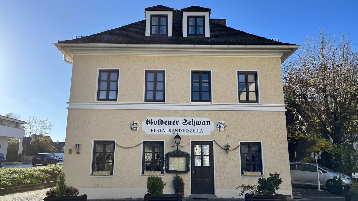 goldender-schwan
