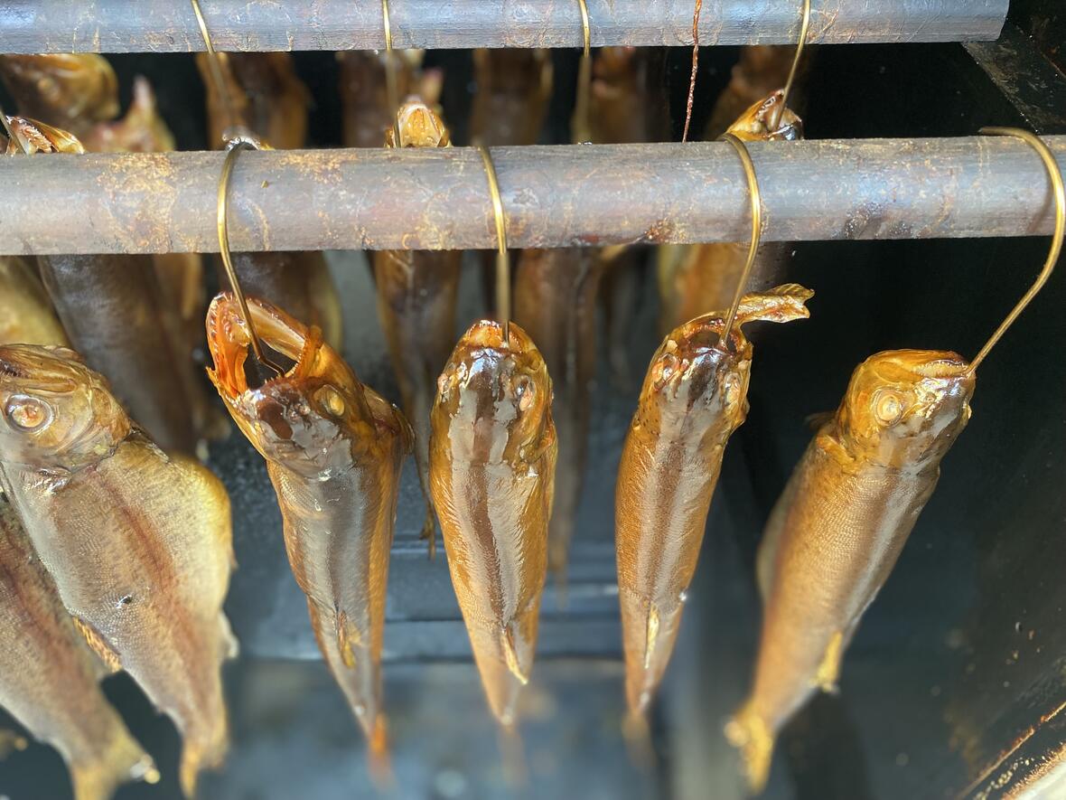 fische_an_haken