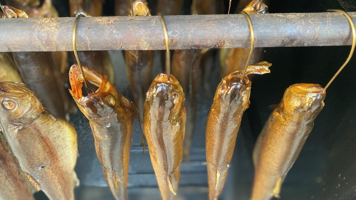 fische_an_haken
