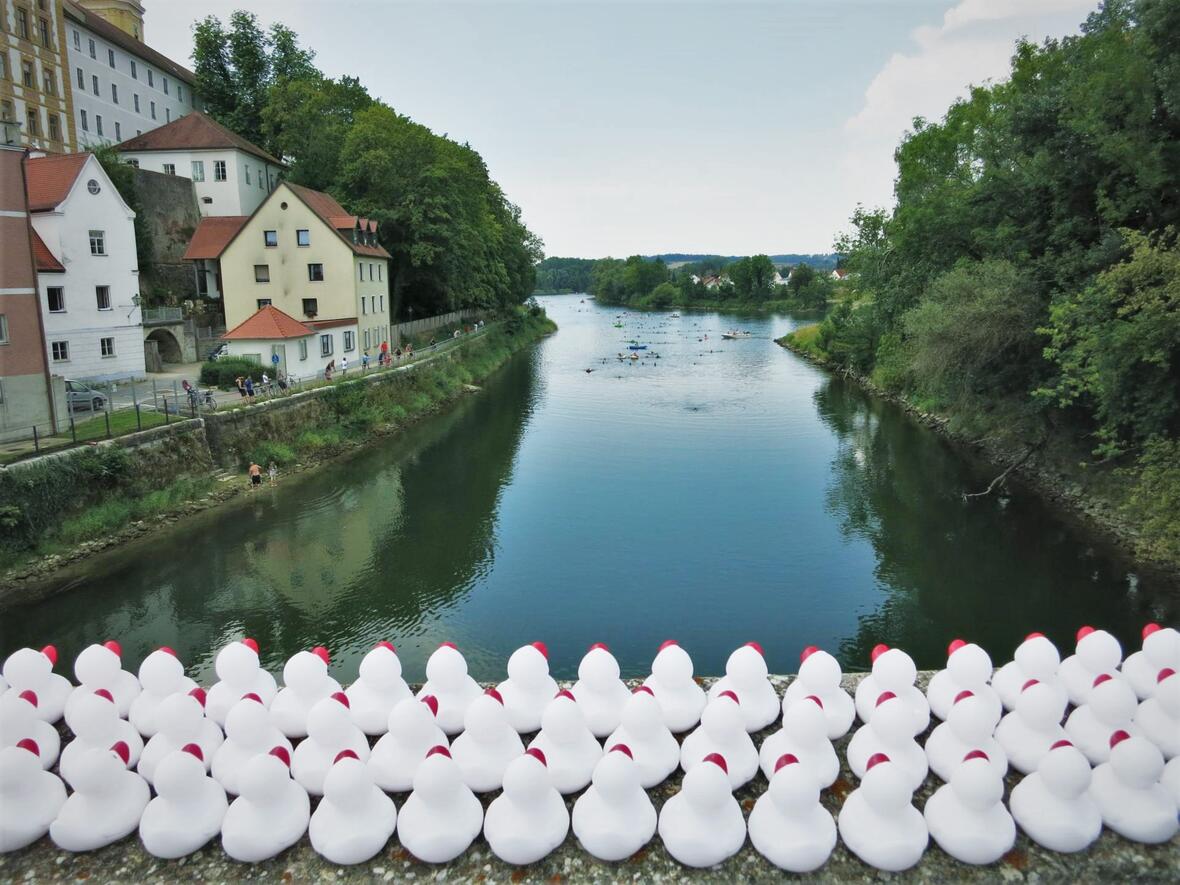 sommerschwimmen-entschen
