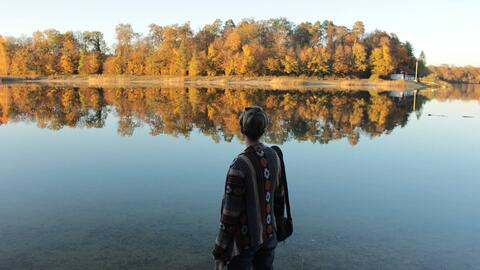 2017_herbst_leitner_weiher_spaziergang_see_laub-1