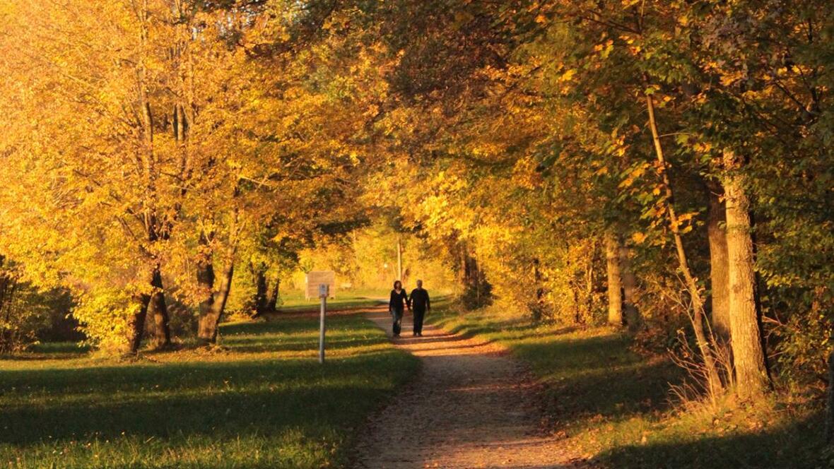 2017_herbst_leitner_weiher_spaziergang_see_laub-2