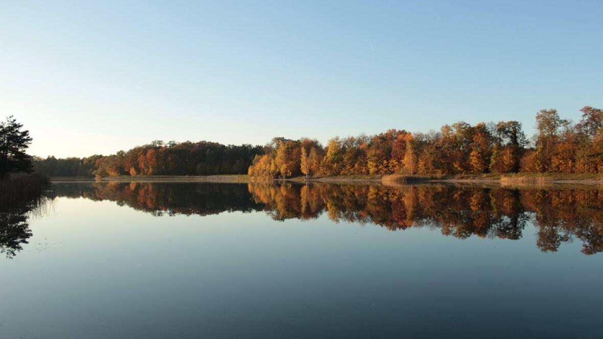 2017_herbst_leitner_weiher_spaziergang_see_laub-5