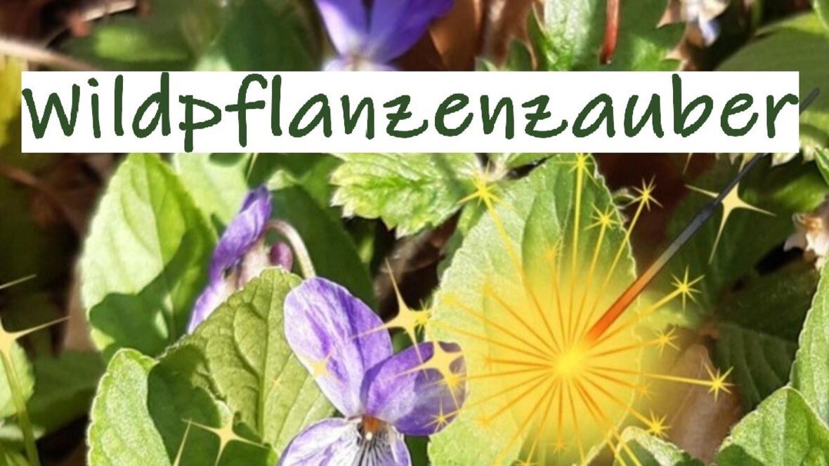wildpflanzenzauber