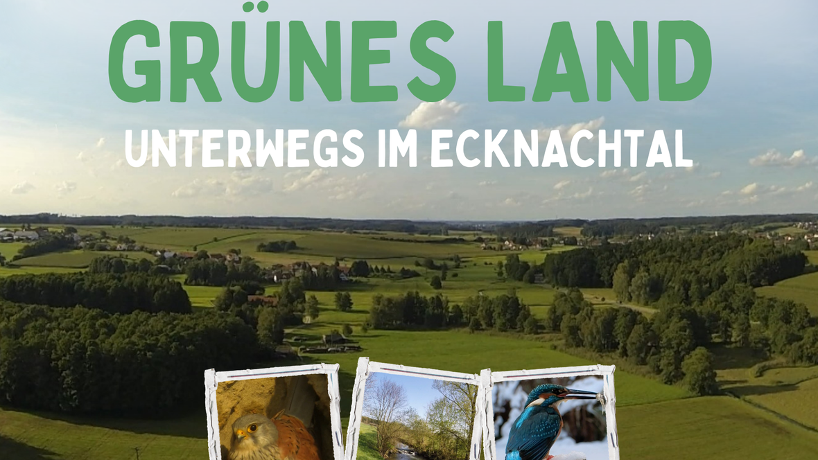 gruenes_land_kinopalast_filmabend