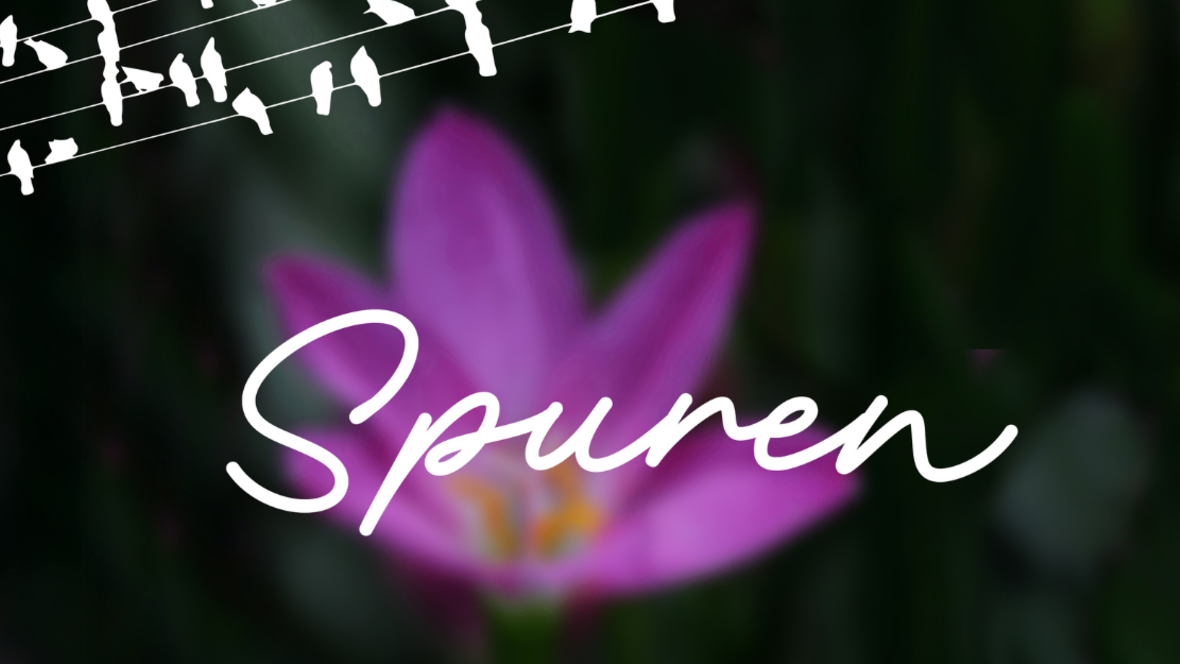 chorkonzert-vokalensemble-crescendo