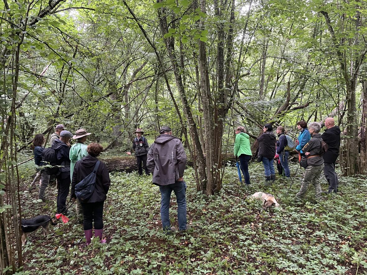 bild-9-exkursion-durch-den-wald-bildquelle-anna-pfahler
